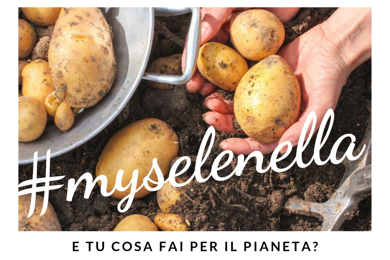 Cos’è #myselenella? Cos’è #myselenella? - Il Blog di Selenella