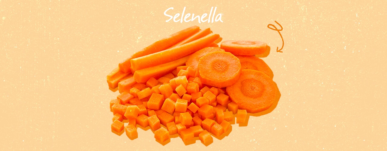 Brunoise, julienne, mirepoix: tutti i modi per tagliare le carote Brunoise, julienne, mirepoix: tutti i modi per tagliare le carote - Il Blog di Selenella