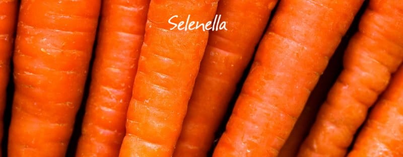 Carote arancioni: proprietà, valori nutrizionali, come cucinarle - Il Blog di Selenella
