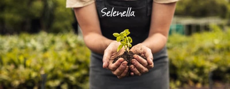 Filiera certificata in agricoltura: cos’è e perché è importante Filiera certificata in agricoltura: cos’è e perché è importante - Il Blog di Selenella