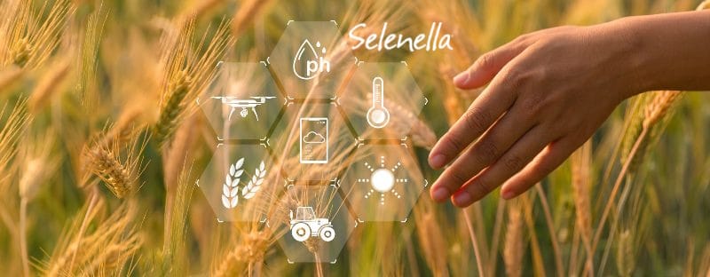 ESG e Agrifood: la sostenibilità trasforma il settore agroalimentare ESG e Agrifood: la sostenibilità trasforma il settore agroalimentare - Il Blog di Selenella