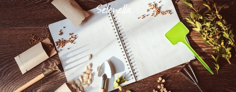 I lavori dell’orto mese per mese I lavori dell’orto mese per mese - Il Blog di Selenella
