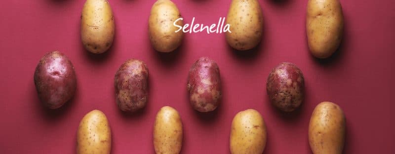 Modi di dire sulle patate: cosa significano? - Il Blog di Selenella