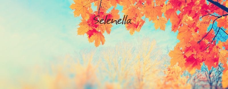 Come affrontare al meglio il cambio di stagione - Il Blog di Selenella