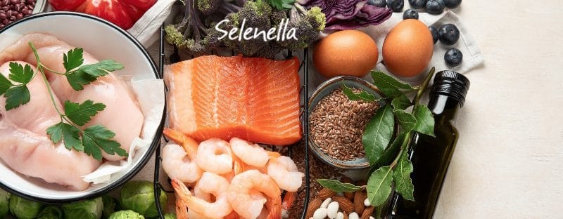 Dieta proteica: cos’è, benefici e svantaggi - Il Blog di Selenella