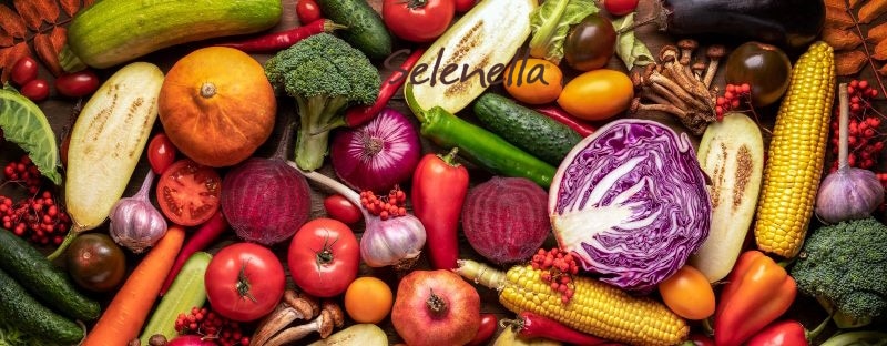 Come conservare le verdure autunnali dopo la spesa - Il Blog di Selenella