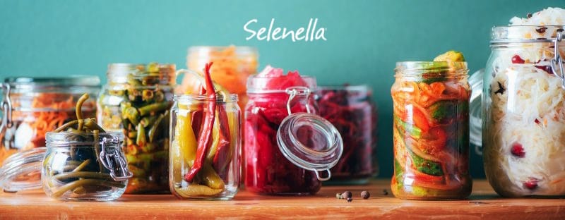 Verdure fermentate: come si preparano - Il Blog di Selenella