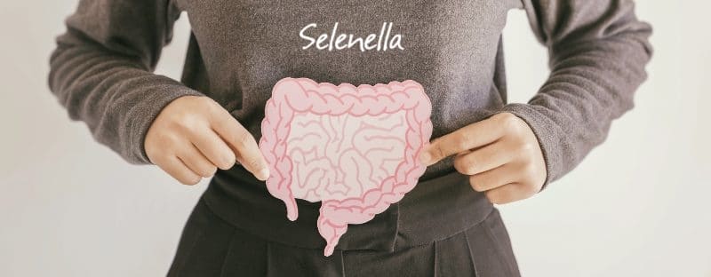 Probiotici e prebiotici: differenze e benefici - Il Blog di Selenella