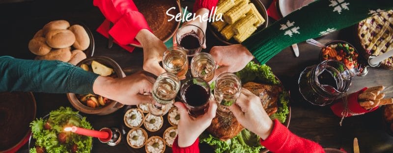 Ricette di Natale vegetariane: idee per il menu delle feste - Il Blog di Selenella