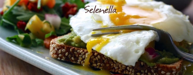 Fame e sazietà: quali cibi saziano di più? - Il Blog di Selenella