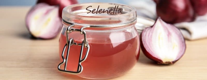 Le cipolle in fitoterapia: proprietà e usi - Il Blog di Selenella
