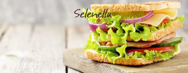 Sandwich con cipolle: abbinamenti originali per panini gustosi - Il Blog di Selenella