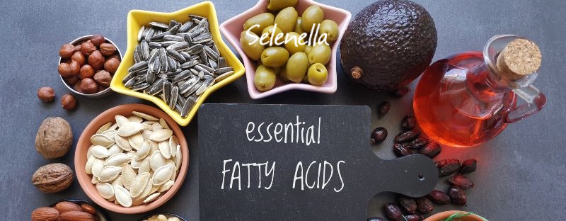 Come bilanciare Omega-3 e Omega-6 nella dieta estiva - Il Blog di Selenella
