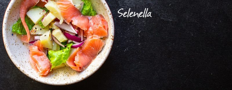 Ricette estive a basso indice glicemico: tutte da provare Ricette estive a basso indice glicemico: tutte da provare - Il Blog di Selenella