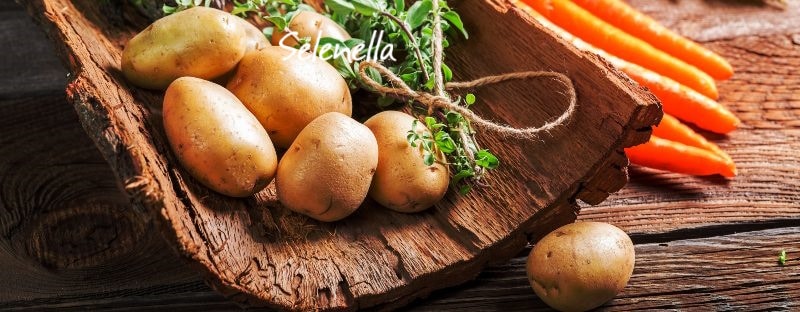 Cambio di stagione: il selenio per le difese immunitarie - Il Blog di Selenella