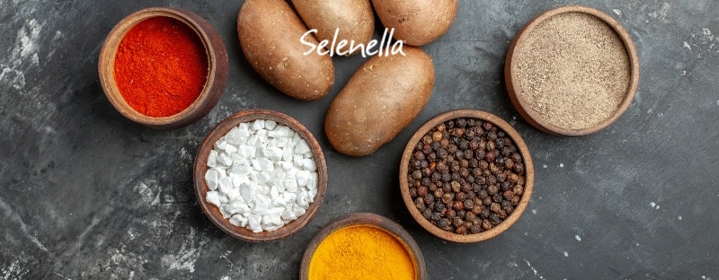 Spezie e patate: come usarle per piatti saporiti - Il Blog di Selenella
