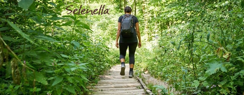 Cosa mangiare prima di una camminata o escursione Cosa mangiare prima di una camminata o escursione - Il Blog di Selenella