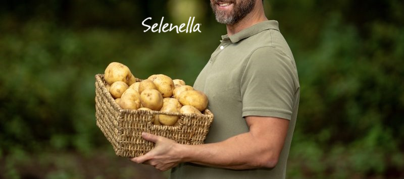 Patata: una coltura moderna tra produttività e sostenibilità - Il Blog di Selenella