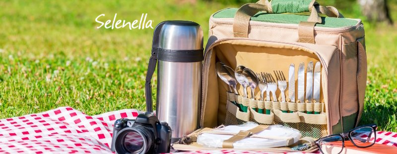 Picnic estivo, come prepararlo - Il Blog di Selenella