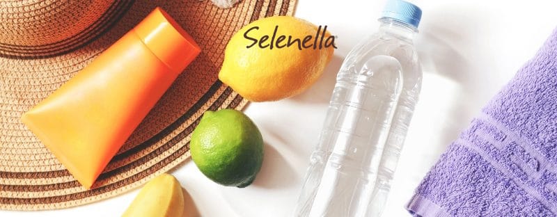 Vitamine, minerali e caldo: quali sono più importanti - Il Blog di Selenella